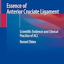Essence of Anterior Cruciate Ligament: Scientific Evidence and Clinical Practice of ACL