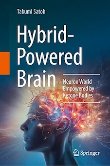 عکس Hybrid-Powered Brain: Neuron World Empowered by Ketone Bodies