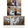 Ultrasound-Guided Procedures in Equine Orthopedics and Surgery