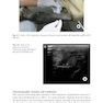 Ultrasound-Guided Procedures in Equine Orthopedics and Surgery