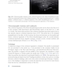 Ultrasound-Guided Procedures in Equine Orthopedics and Surgery