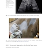 Ultrasound-Guided Procedures in Equine Orthopedics and Surgery
