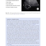 Ultrasound-Guided Procedures in Equine Orthopedics and Surgery