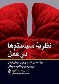 عکس نظریه سیستم  ها در عمل