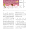 Scars: A Practical Guide for Scar Therapy