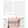 Scars: A Practical Guide for Scar Therapy