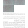 Scars: A Practical Guide for Scar Therapy