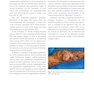 Scars: A Practical Guide for Scar Therapy