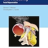 Atlas of Ultrasound and Anatomy: Facial Rejuvenation
