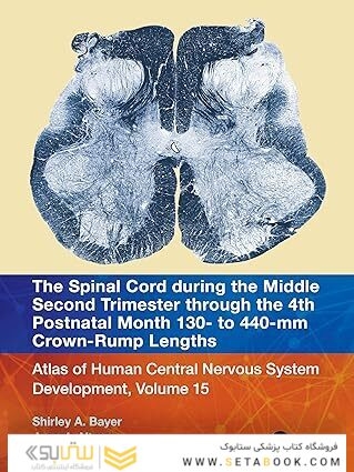 The Spinal Cord during the Middle Second Trimester through the 4th Postnatal Month 130- to 440-mm Crown-Rump Lengths