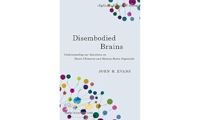 Disembodied Brains: Understanding our Intuitions on Human-Animal Neuro-Chimeras and Human Brain Organoids