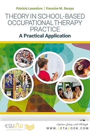 Theory in School-Based Occupational Therapy Practice 1st Edition