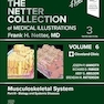 The Netter Collection of Medical Illustrations: Musculoskeletal System