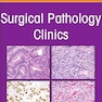 The Current and Future Impact of Cytopathology on Patient Care, An Issue of Surgical Pathology Clinics