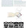 Fundamental Neuroscience for Basic and Clinical Applications 6th Edition