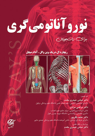 عکس نوروآناتومی گری برای دانشجویان