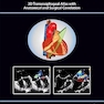The Art of 2D Transesophageal Echocardiography 1st Edition