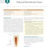 Textbook of Endodontics 5th Edition