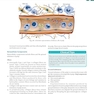 Textbook of Endodontics 5th Edition