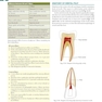 Textbook of Endodontics 5th Edition