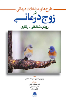 عکس طرح ها و مداخلات درمانی در زوج درمانی رویکرد شناختی - رفتاری