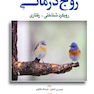 طرح ها و مداخلات درمانی در زوج درمانی رویکرد شناختی - رفتاری