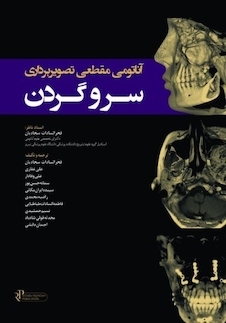 عکس آناتومی مقطعی تصویربرداری سر و گردن