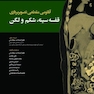 آناتومی مقطعی تصویربرداری قفسه سینه، شکم و لگن