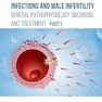 Infections and Male Infertility: General Pathophysiology, Diagnosis, and Treatment