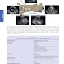 Atlas of Small Animal Ultrasonography 3rd Edition