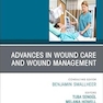 Advances in Wound Care and Wound Management, An Issue of Nursing Clinics