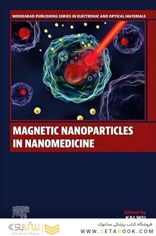Magnetic Nanoparticles in Nanomedicine