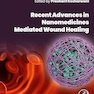 Recent Advances in Nanomedicines Mediated Wound Healing 1st Edition