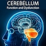 The Auditory Cerebellum: Function and Dysfunction 1st Edition
