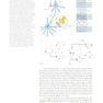 Theoretical Neuroscience: Understanding Cognition 1st Edition