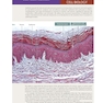 Histology and Cell Biology: An Introduction to Pathology 6th Edition