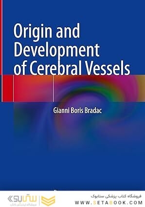 Origin and Development of Cerebral Vessels