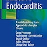 Infective Endocarditis: A Multidisciplinary Team Approach to a Complex Disease