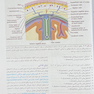 آناتومی بالینی اسنل سر و گردن 2025 جلد سوم
