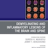 Demyelinating and Inflammatory Lesions of the Brain and Spine, An Issue of Magnetic Resonance Imaging Clinics of North America