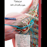 فیزیولوژی خون و گردش خون
