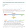Nephrology and Hypertension Board Review