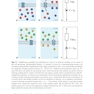 Computational Neuroscience: An Essential Guide to Membrane Potentials, Receptive Fields, and Neural Networks