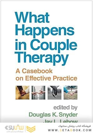 What Happens in Couple Therapy: A Casebook on Effective Practice 1st Edition