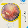 درمان گام به گام دیابت