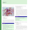 Comprehensive Self-Assessment in Infectious Disease: Questions and Answers: Questions and Answers 1st Edition