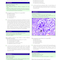 Comprehensive Self-Assessment in Infectious Disease: Questions and Answers: Questions and Answers 1st Edition