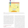 Molecular Medicine: An Introduction