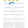 Molecular Medicine: An Introduction