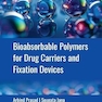 Bioabsorbable Polymers for Drug Carriers and Fixation Devices 1st Edition